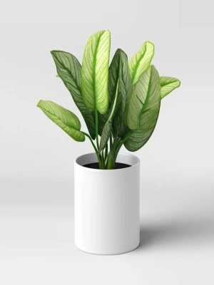 Artificial Variegated