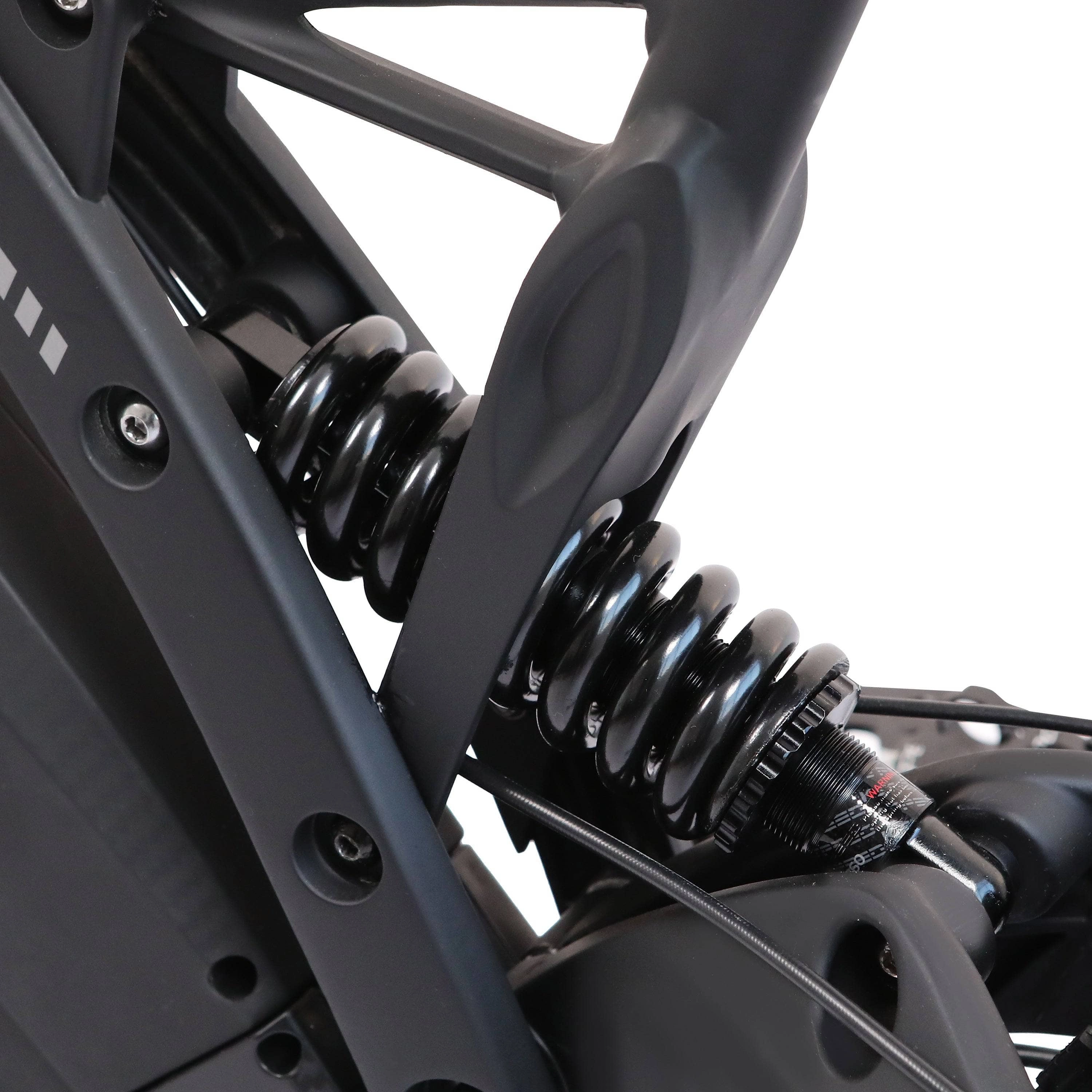 Ecotric PeaceDove 36V 350W Electric City Bike