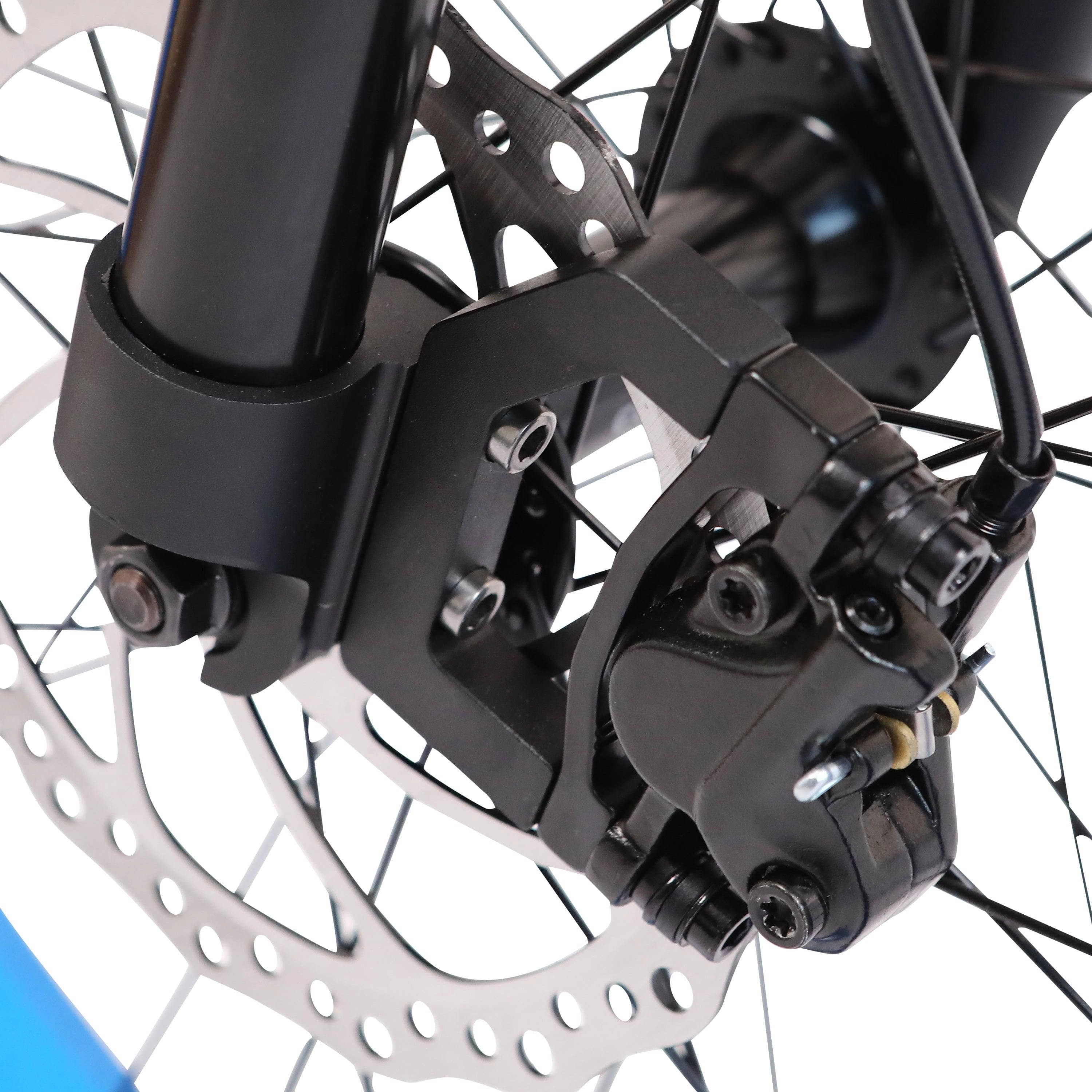 Ecotric PeaceDove 36V 350W Electric City Bike