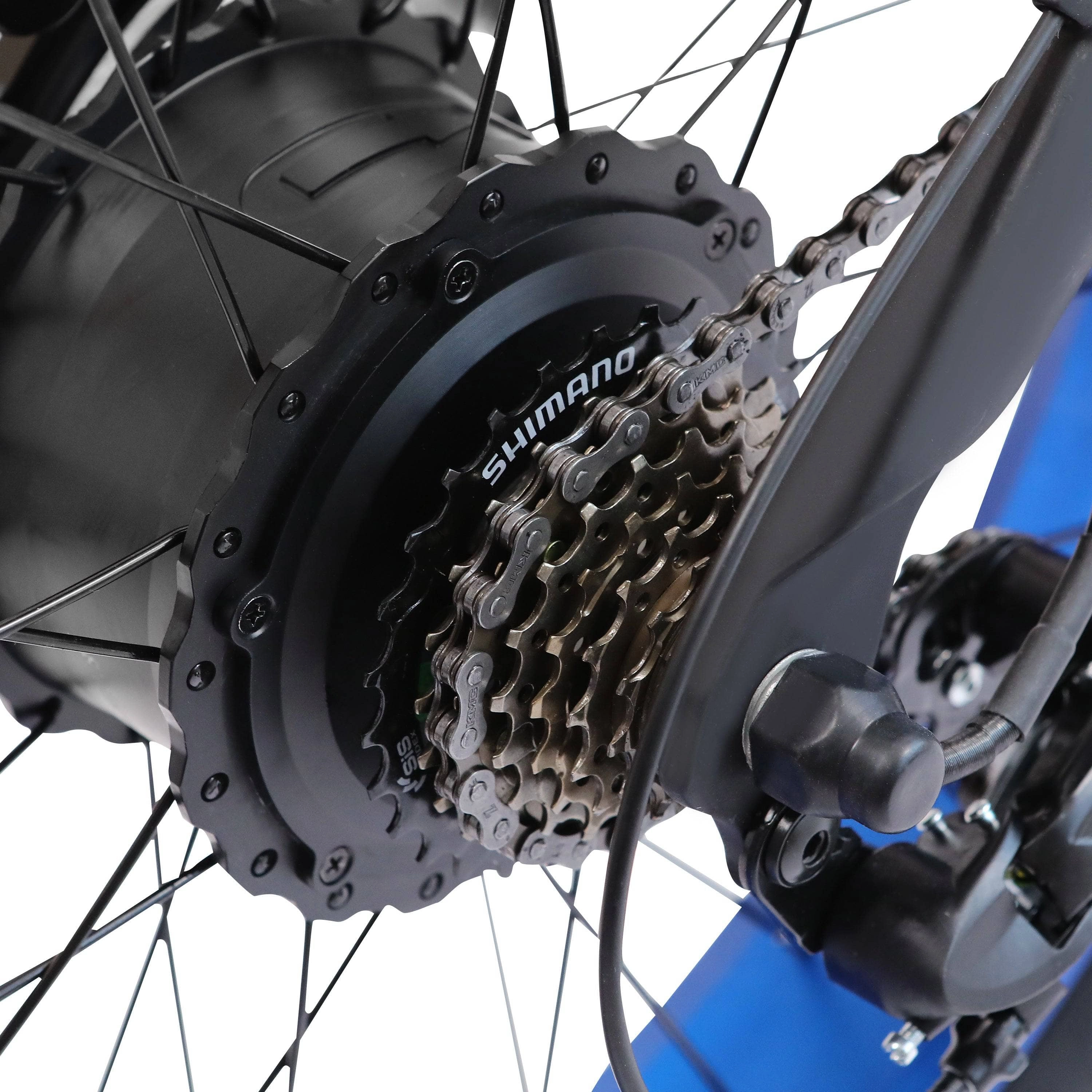 Ecotric PeaceDove 36V 350W Electric City Bike