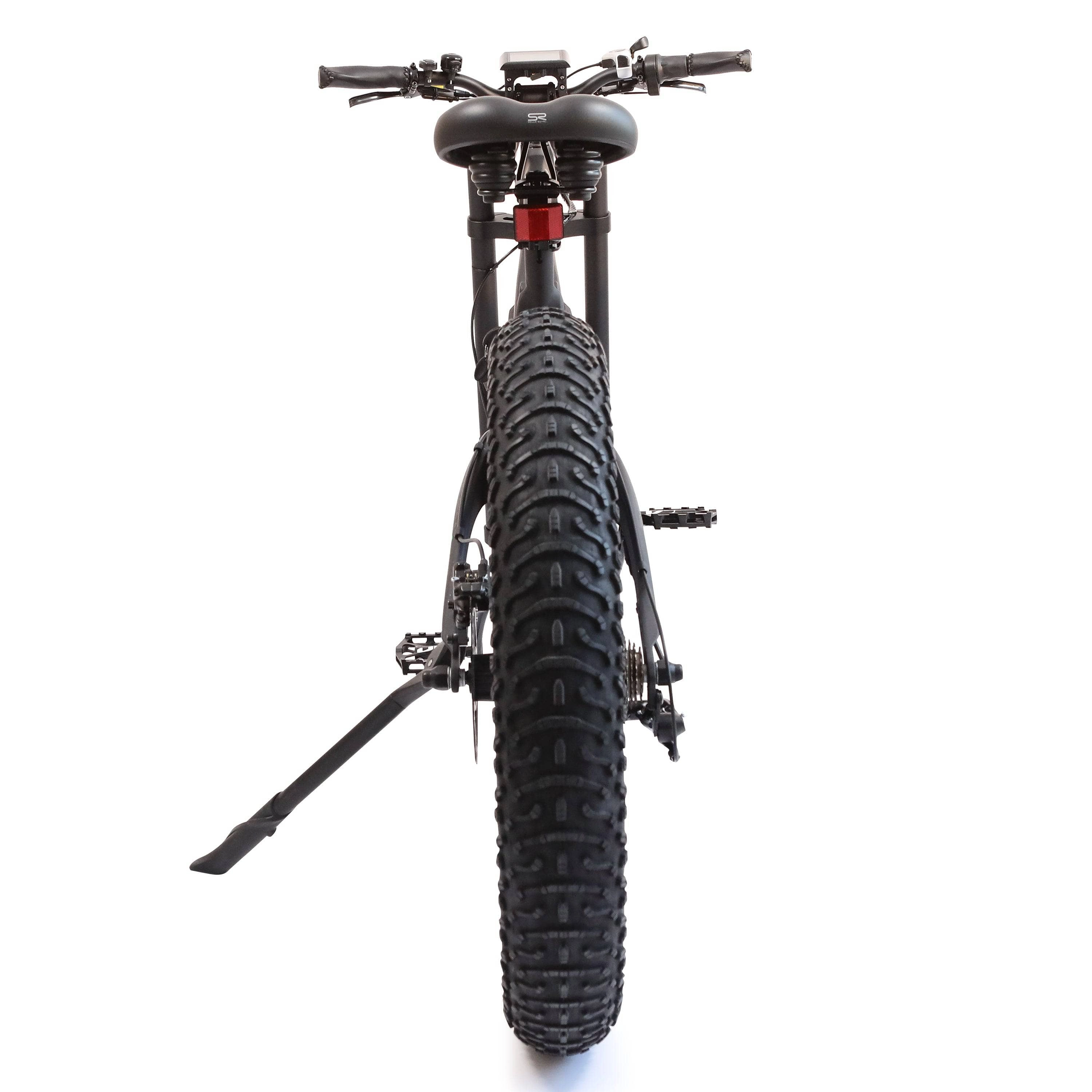 Ecotric PeaceDove 36V 350W Electric City Bike