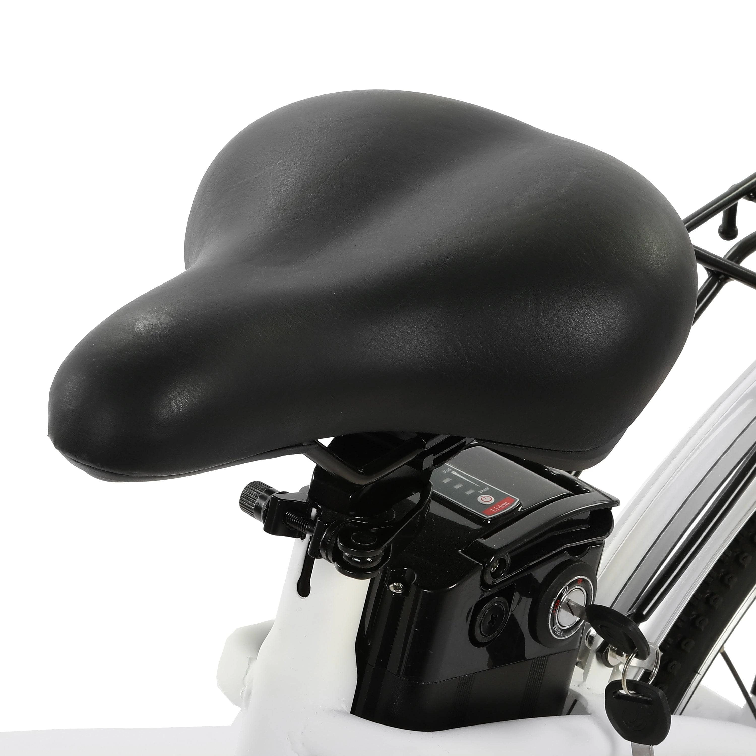Ecotric PeaceDove 36V 350W Electric City Bike