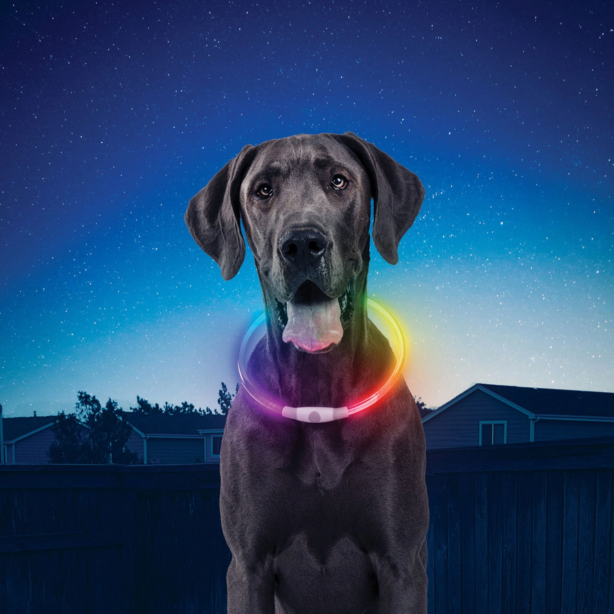 Nite Ize Rechargeable NiteHowl Multicolored Disco Collar Light