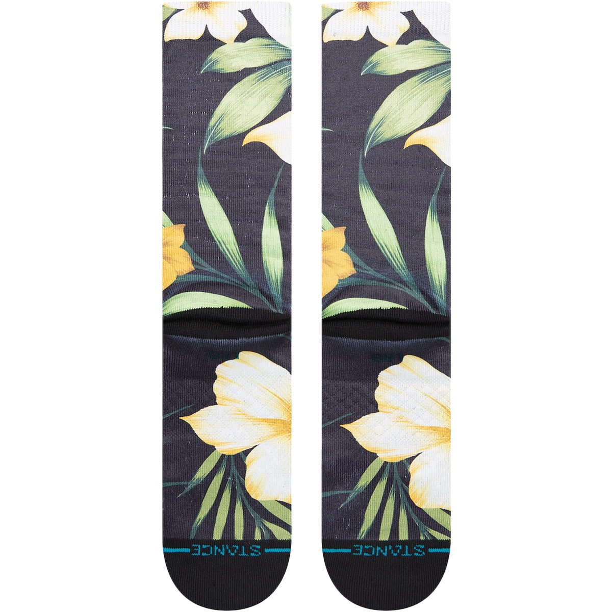Rivi Tropics