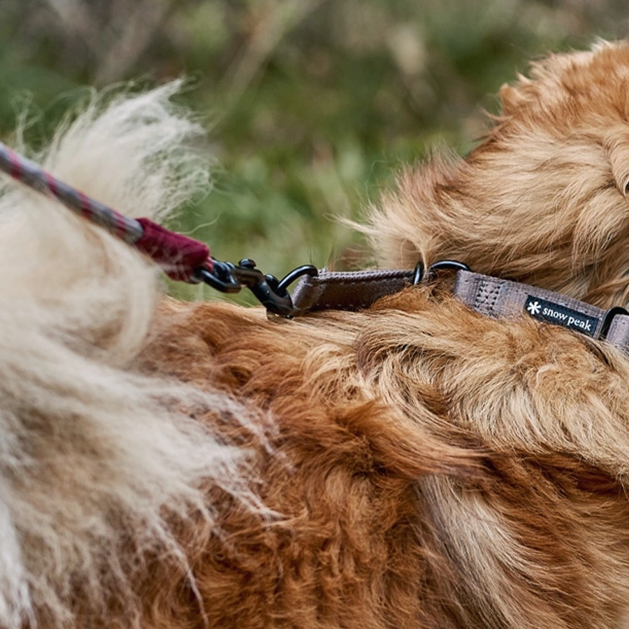 SP Rope Lead L
