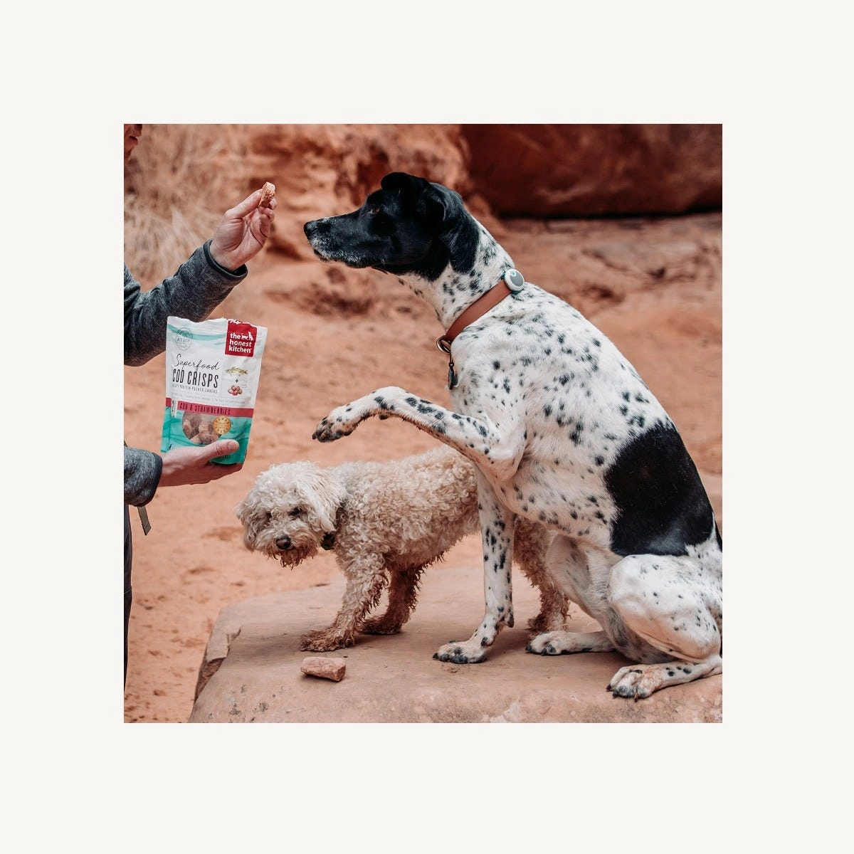 The Honest Kitchen Cod & Strawberry Superfood Cod Crisps For Dogs