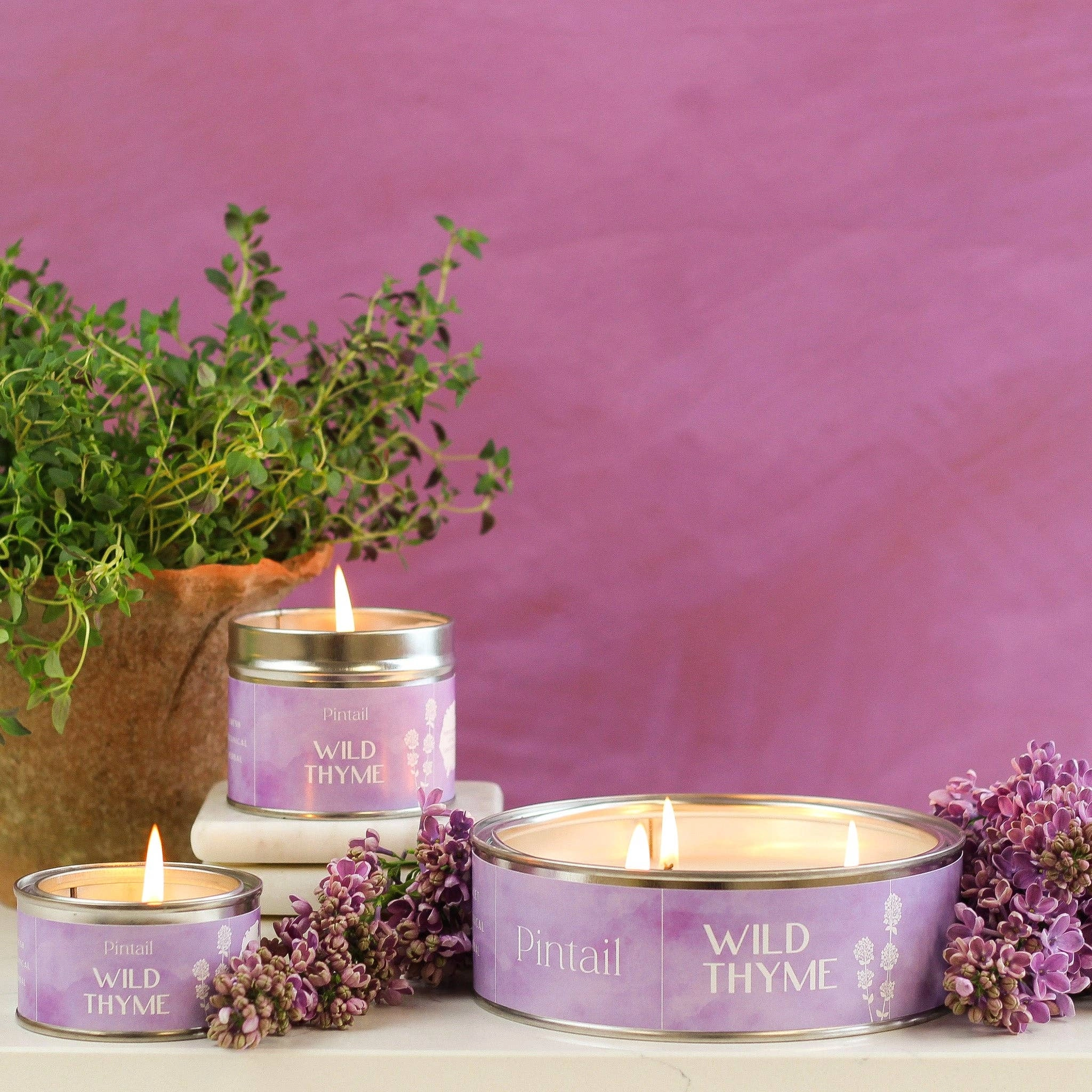 Wild Thyme Paint Pot Candle
